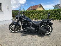 Motorrad kaufen Occasion HARLEY-DAVIDSON FLS 1690 Softail Slim ABS (custom)