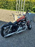Motorrad kaufen Occasion HARLEY-DAVIDSON XL 1200 C Sportster Custom (custom)