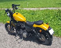 Motorrad kaufen Occasion HARLEY-DAVIDSON XL 883 N Sportster Iron (custom)
