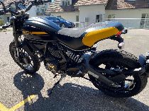 Motorrad kaufen Occasion DUCATI 803 Scrambler (naked)