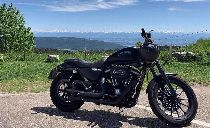Motorrad kaufen Occasion HARLEY-DAVIDSON XL 883 N Sportster Iron (custom)