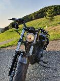 Motorrad kaufen Occasion HARLEY-DAVIDSON XL 1200X Sportster Forty-Eight ABS (custom)