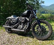 Motorrad kaufen Occasion HARLEY-DAVIDSON XL 883 N Iron (custom)