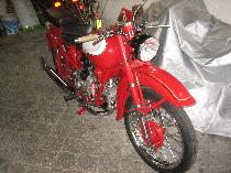 Motorrad kaufen Occasion MOTO GUZZI Airone 250 (touring)