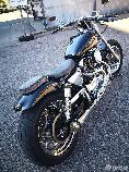 Motorrad kaufen Occasion HARLEY-DAVIDSON XLH 1200 C Sportster Custom (custom)