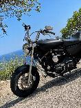 Motorrad kaufen Occasion HARLEY-DAVIDSON XL 1200 CB Sportster Custom (custom)