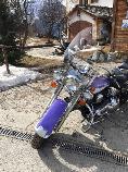 Motorrad kaufen Occasion HARLEY-DAVIDSON FLSTC 1340 Softail Heritage Classic (touring)