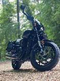 Motorrad kaufen Occasion HARLEY-DAVIDSON XG 750 A Street Rod (custom)