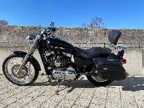 Motorrad kaufen Occasion HARLEY-DAVIDSON XL 1200 C Sportster Custom (custom)