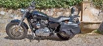Motorrad kaufen Occasion HARLEY-DAVIDSON XL 1200 C Sportster Custom (custom)