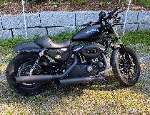 Motorrad kaufen Occasion HARLEY-DAVIDSON XL 883 N Iron (custom)