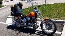 Motorrad kaufen Occasion HARLEY-DAVIDSON FXSTC 1340 Softail Custom (custom)