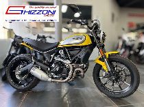 Motorrad kaufen Occasion DUCATI 803 Scrambler (retro)