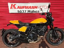 Motorrad kaufen Vorführmodell DUCATI 803 Scrambler (retro)
