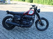 Motorrad kaufen Occasion YAMAHA SCR 950 (retro)