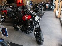 Motorrad kaufen Vorführmodell YAMAHA XSR 900 (retro)