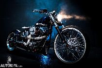 Motorrad kaufen Occasion HARLEY-DAVIDSON FXSTC 1340 Softail Custom (custom)