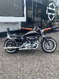 Motorrad kaufen Occasion HARLEY-DAVIDSON XL 1200 C Sportster Custom ABS (custom)
