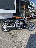 Motorrad kaufen Occasion HARLEY-DAVIDSON VRSCF 1250 V-Rod Muscle ABS (custom)