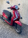 Motorrad kaufen Occasion YAMAHA LTS 125 Delight (roller)