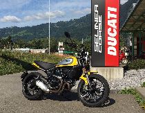 Motorrad kaufen Vorführmodell DUCATI 803 Scrambler (retro)