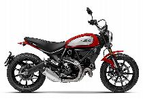 Motorrad kaufen Neufahrzeug DUCATI 803 Scrambler Icon (retro)
