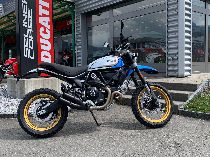 Motorrad kaufen Neufahrzeug DUCATI 803 Scrambler Desert Sled (retro)