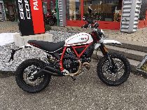 Motorrad kaufen Neufahrzeug DUCATI 803 Scrambler Desert Sled (retro)