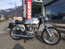 Motorrad kaufen Oldtimer DUCATI 350 Desmo Silver Shotgun