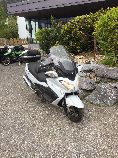Motorrad kaufen Occasion SUZUKI AN 650 Burgman ZA Executive (roller)