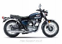 Motorrad kaufen Neufahrzeug KAWASAKI W 800 (retro)