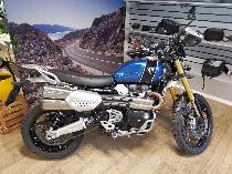 Motorrad kaufen Occasion TRIUMPH Scrambler 1200 XE (retro)