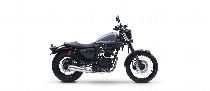 Motorrad kaufen Neufahrzeug MOTRON Revolver 125 (custom)