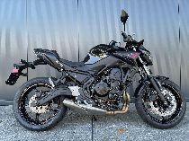  Motorrad kaufen Neufahrzeug KAWASAKI Z 650 (naked)