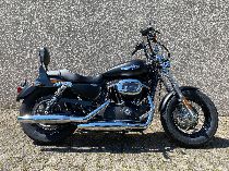 Motorrad kaufen Occasion HARLEY-DAVIDSON XL 1200 CB Sportster Custom Vers. B ABS (custom)