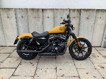 Motorrad kaufen Occasion HARLEY-DAVIDSON XL 883 N Sportster Iron (custom)