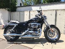 Motorrad kaufen Occasion HARLEY-DAVIDSON XL 1200 C Sportster Custom ABS (custom)