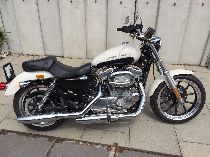 Motorrad kaufen Occasion HARLEY-DAVIDSON XL 883 L Sportster Low (custom)