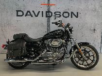 Motorrad kaufen Occasion HARLEY-DAVIDSON XL 883 L Sportster Low ABS (custom)