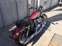 Motorrad kaufen Occasion HARLEY-DAVIDSON XLH 883 53C Sportster 25kW (custom)