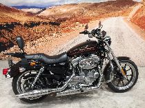 Motorrad kaufen Occasion HARLEY-DAVIDSON XL 883 L Sportster Low (custom)