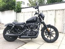 Motorrad kaufen Occasion HARLEY-DAVIDSON XL 1200 NS Sportster Iron (custom)