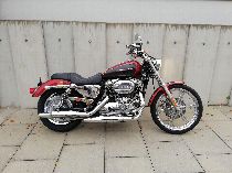 Motorrad kaufen Occasion HARLEY-DAVIDSON XL 1200 C Sportster Custom (custom)