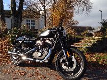 Motorrad kaufen Occasion HARLEY-DAVIDSON XL 1200CX Sportster Roadster ABS (custom)