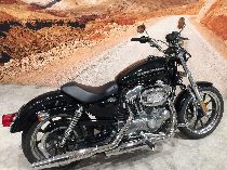 Motorrad kaufen Occasion HARLEY-DAVIDSON XL 883 L Sportster Low ABS (custom)
