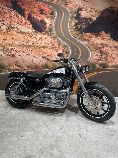 Motorrad kaufen Occasion HARLEY-DAVIDSON XL 1200 C Sportster Custom (custom)