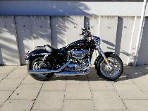 Motorrad kaufen Occasion HARLEY-DAVIDSON XL 1200 C Sportster Custom ABS (custom)
