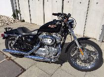 Motorrad kaufen Occasion HARLEY-DAVIDSON XL 883 L Sportster Low (custom)