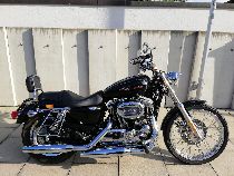 Motorrad kaufen Occasion HARLEY-DAVIDSON XL 1200C Sportster Custom (custom)