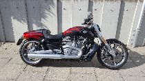 Motorrad kaufen Occasion HARLEY-DAVIDSON VRSCF 1250 V-Rod Muscle ABS (custom)